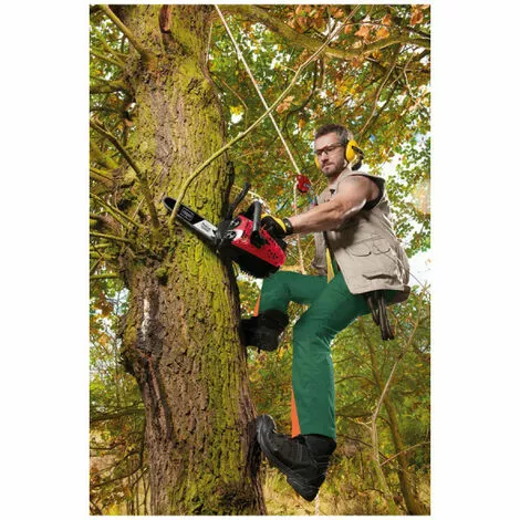 Pack SCHEPPACH Broyeur électrique - 2400 W - 2 Sac Collecteurs - GS55 - Tronçonneuse Thermique ProCut - 25 Cm - 700 W - CSP2540 6 Pack SCHEPPACH Broyeur électrique - 2400 W - 2 Sac Collecteurs - GS55 - Tronçonneuse Thermique ProCut - 25 Cm - 700 W - CSP2540 – Image 4