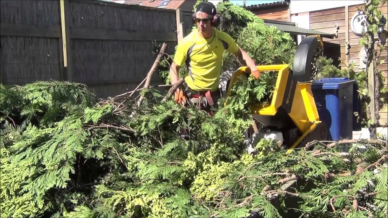 Promos Broyeur de végétaux Magasin -Promos Broyeur de végétaux Magasin a1